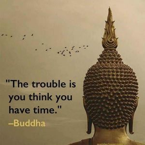 Meet your Posher, Naylet